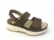 -ARUBA 307005 Bronze