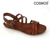 -COSMOS 61378013 Cognac