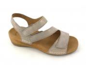 -GABOR 6373462 Muschel