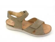 -HARTJES 111623 taupe