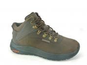 -SKECHERS 205285 CHOC Brown