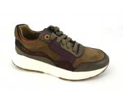 -GOLDEN GATE 330002 Bronze