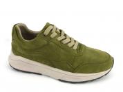 -GOLDEN GATE 33200 Olive