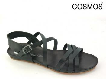 -COSMOS  6137801  Zwart