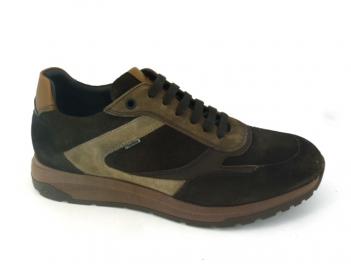 -FLUCHOS 2531 Brown
