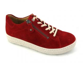 -HARTJES 1621401 Phil Rot