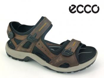 -ECCO 069564 Espresso/Black