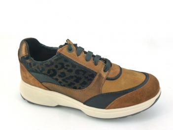 -ANDORRA 302292 Cognac
