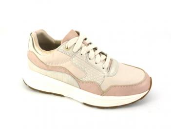 -GOLDEN GATE 33000 Soft Coral