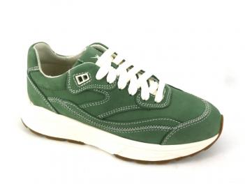-LIBERTY 33014 Sage