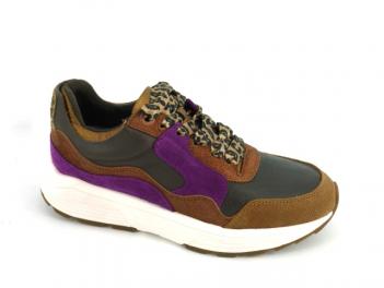 -GOLDEN GATE 33000 Cognac