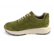 -GOLDEN GATE 33200 Olive